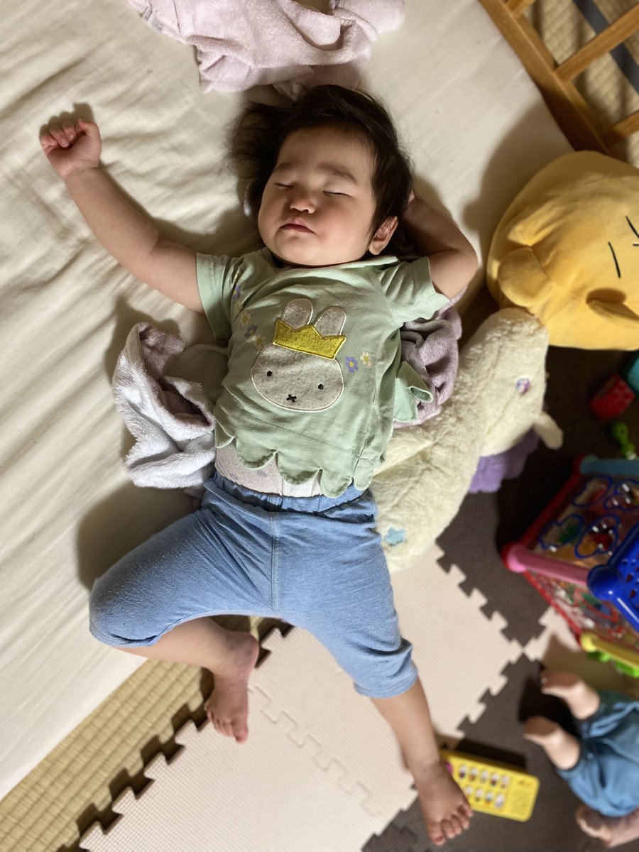 パンちゃんとナギさん4y&スイさん1y (@panchanbaby) / X