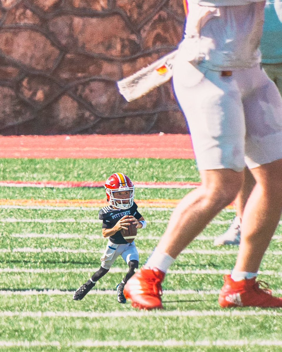 Tiny Tuesday 🦍 

#GRIT // #KOJ // #OAGAAG