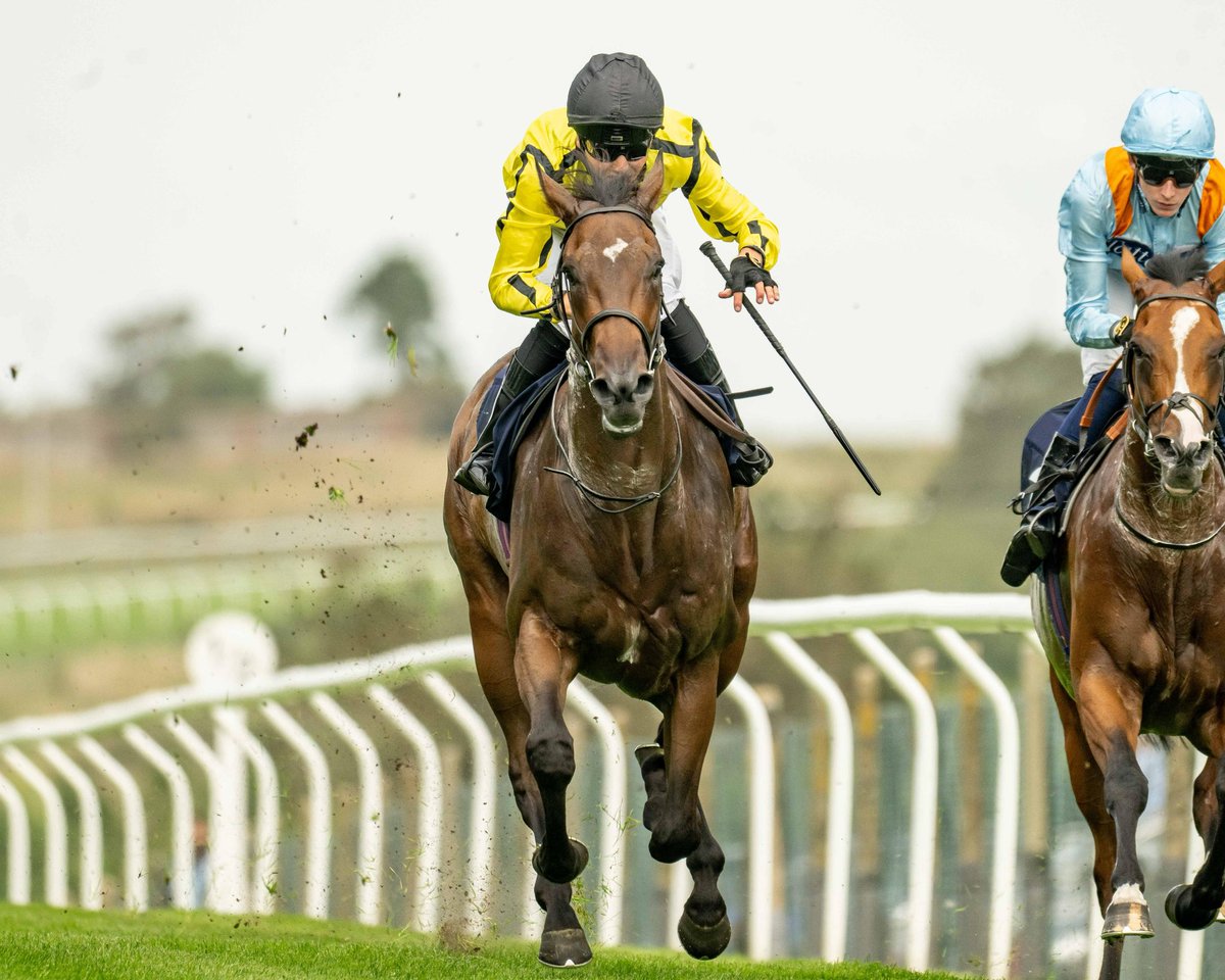 Off the mark! Lord Montague breaks his maiden at Brighton under jockey George Bass. Many congratulations to all connections 🏆

#JackChannonRacing