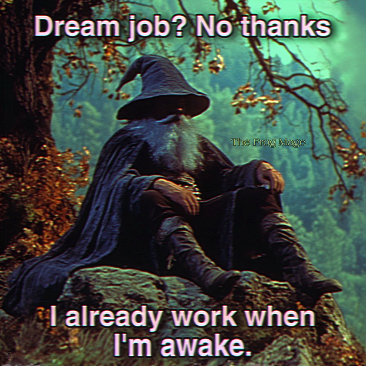 the_frog_mage's tweet image. 