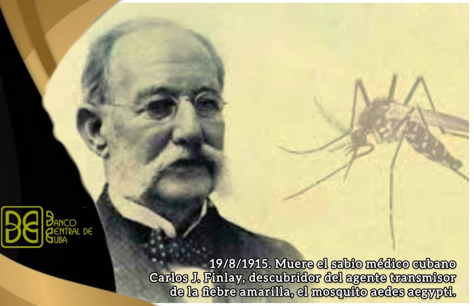 19 de agosto de 1915 | Muere el sabio médico cubano Carlos J. Finlay, descubridor del agente transmisor de la fiebre amarilla, el mosquito aedes aegypti.

#CubaViveEnSuHistoria
#CubaPorLaVida #CubaPorLaSalud