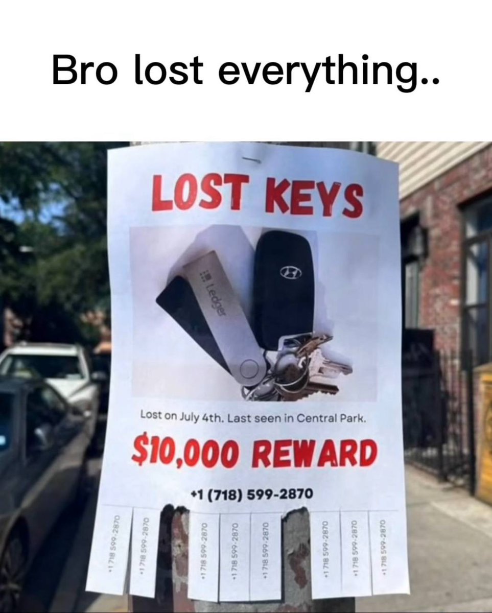 Imagine the panic when you realize those keys are gone… 💀