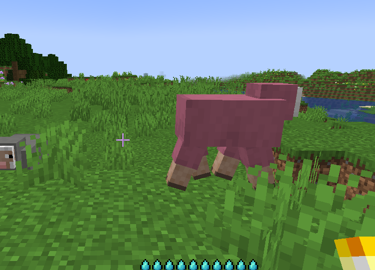 found a pink sheep