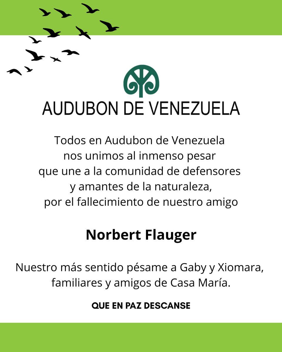 Audubon de Venezuela (@audubon_vzla) on Twitter photo 