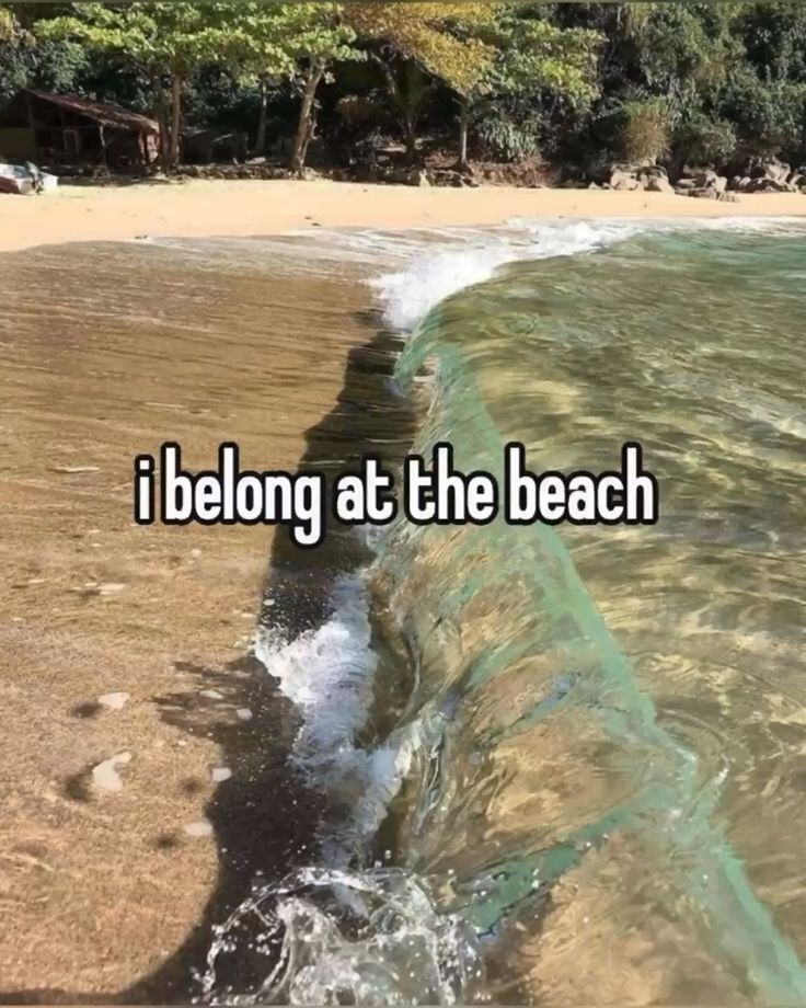 𝐋α𐓣𝗂 𓇼 ᵃˡᵗ tweet media