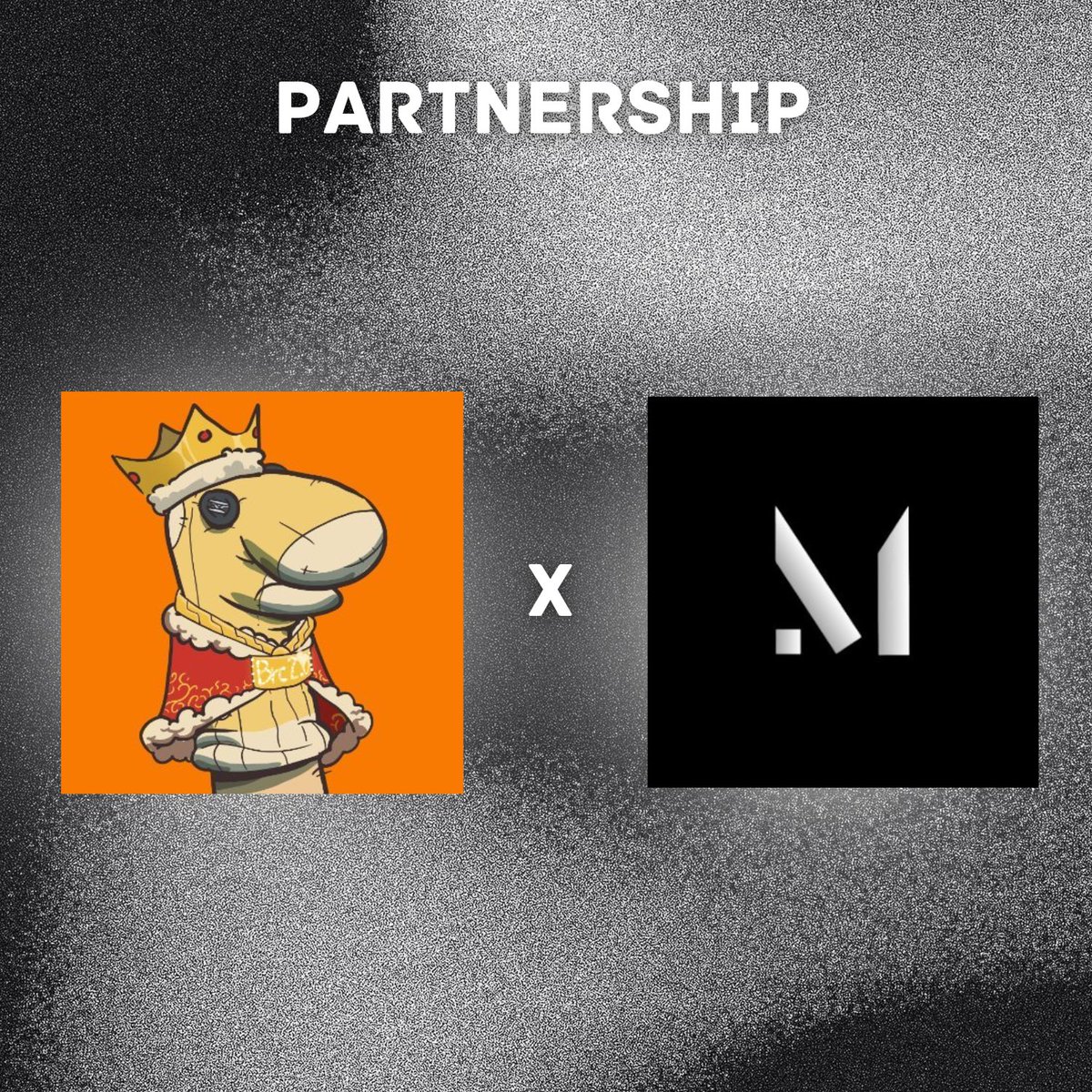 We are delighted to announce our collaboration with <a href="/ThreadHeadsBtc/">ThreadHeads | BRC 2.0</a> 🧦

Who needs some socks? Running some spots for our discord members.

Join our discord or u might miss this one...