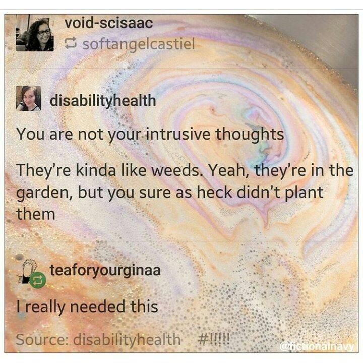 WholesomeMemes (@wholesomememe) on Twitter photo 