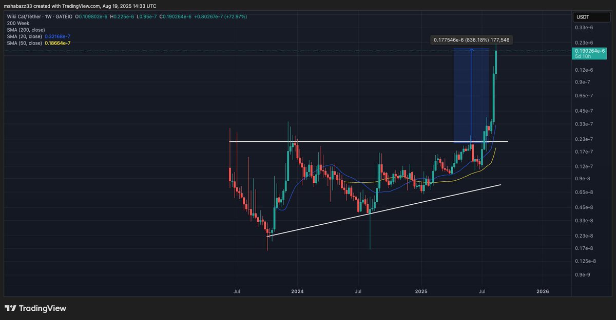 TheGoldenHalalCryptoClub tweet media