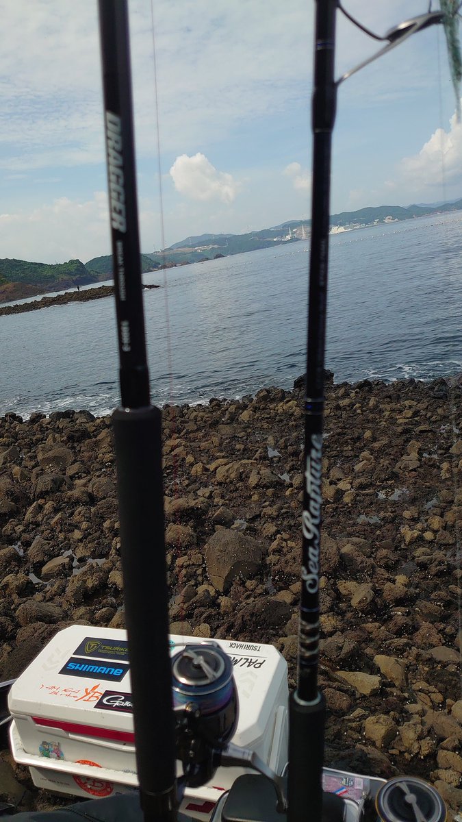 ん〜……
全く釣れるイメージが沸かん😓💦
シーラプチャー鱗付けしたいのに🥺

いっその事遊漁船乗るか……🤔
底潮動いてないから沖に出ても変わらんよなー🥹

新月まで待つか😇