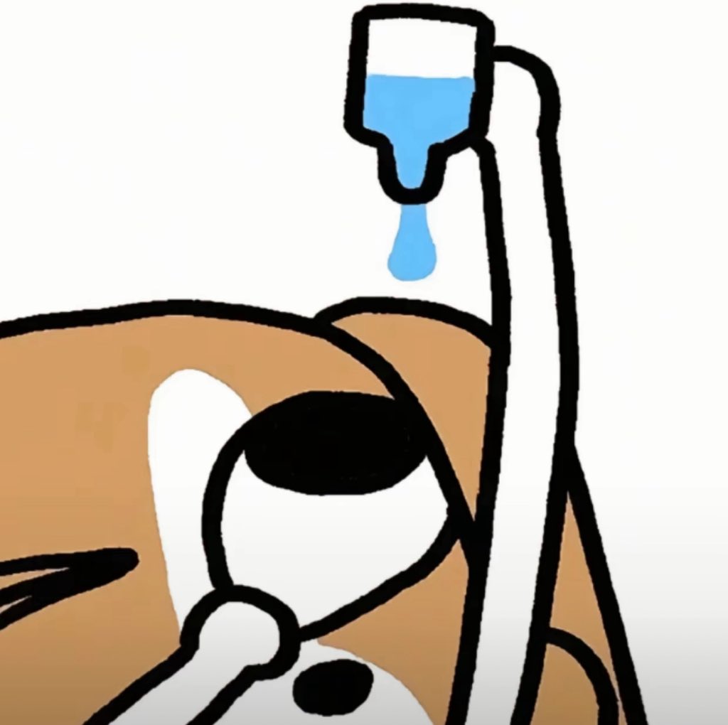 Dahlia.W tweet media