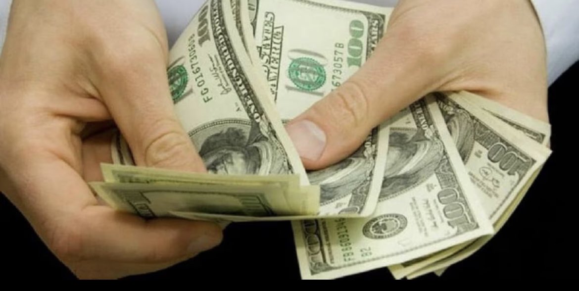 Kadir (@alfredo1guiller) on Twitter photo <a href="/lahoraecuador/">La Hora Ecuador</a> Claro pregunto pagara las hora a cuánto sera de $15 a $ 20 x horas o pagara a Una miseria de $1,00 x horas de trabajo <a href="/DanielNoboaOk/">Daniel Noboa Azin</a> has de saber has vivido en EEUU cuánto gana un empleado x horas de trabajo <a href="/AsambleaEcuador/">Asamblea Nacional</a> <a href="/MirkitaOrellana/">Mirka_Orellana</a> <a href="/MinGobiernoEc/">Ministerio de Gobierno Ecuador</a> <a href="/jilgueritodels1/">jilgueritodelsur@hotmail.com</a> <a href="/lahoraecuador/">La Hora Ecuador</a> Claro pregunto pagara las hora a cuánto sera de $15 a $ 20 x horas o pagara a Una miseria de $1,00 x horas de trabajo <a href="/DanielNoboaOk/">Daniel Noboa Azin</a> has de saber has vivido en EEUU cuánto gana un empleado x horas de trabajo <a href="/AsambleaEcuador/">Asamblea Nacional</a> <a href="/MirkitaOrellana/">Mirka_Orellana</a> <a href="/MinGobiernoEc/">Ministerio de Gobierno Ecuador</a> <a href="/jilgueritodels1/">jilgueritodelsur@hotmail.com</a>