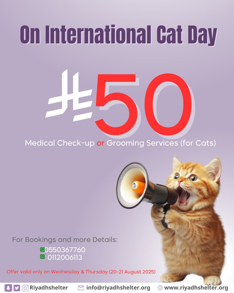 عروض هذا الأسبوع 💜