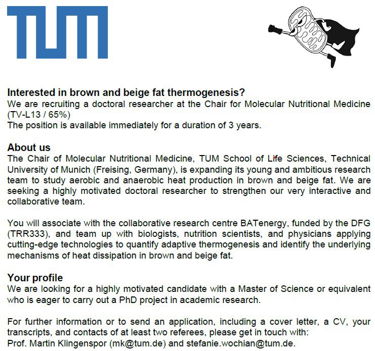 New PhD opportunity at TUM!