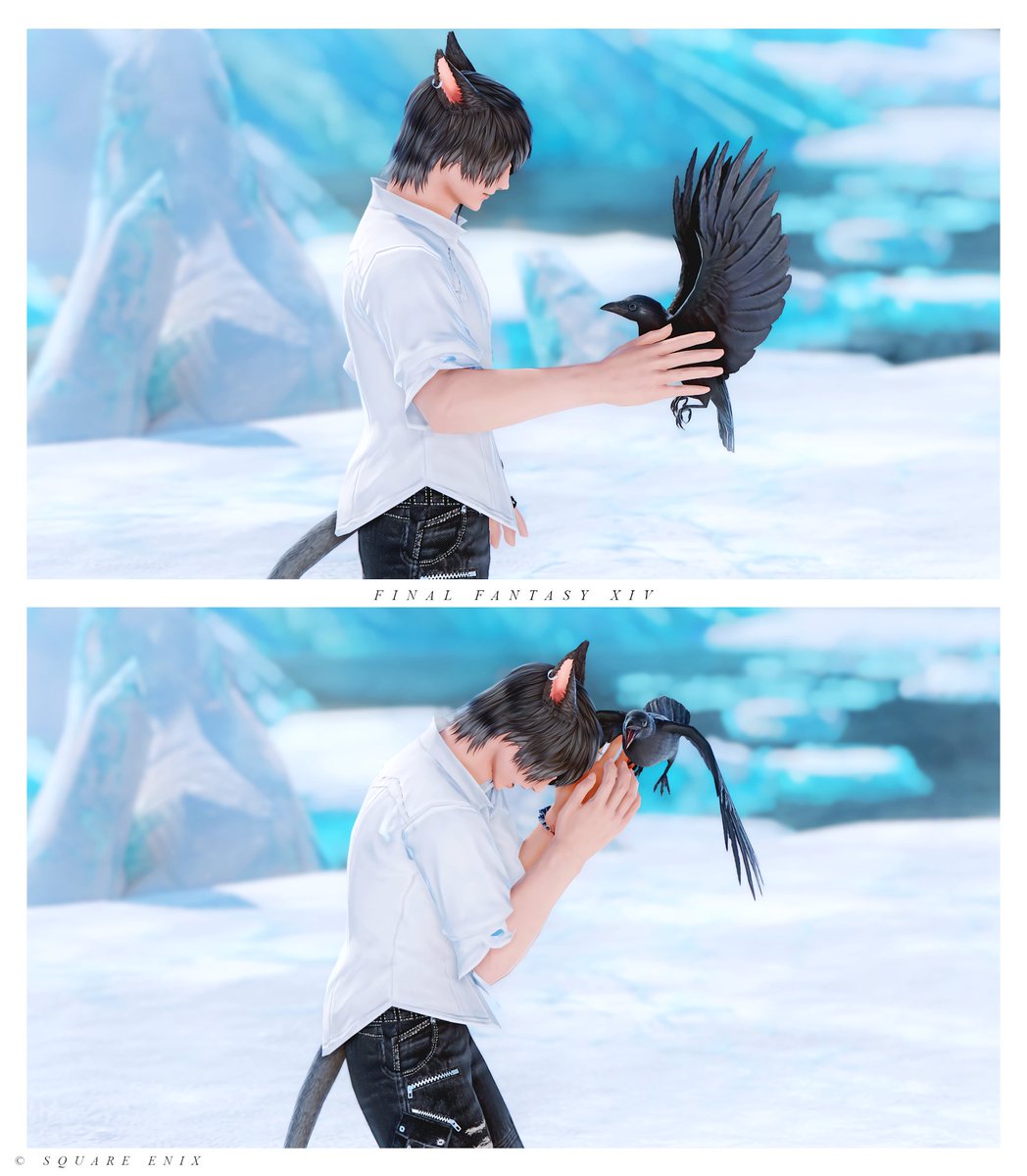 Ren_ff14_r's tweet photo. タイニークロウ、元実験動物だったから人が怖いのか…？
ちょっと触ろうとしたらめちゃくちゃ怒られた
#FFXIV https://t.co/D1G3J2U0yI