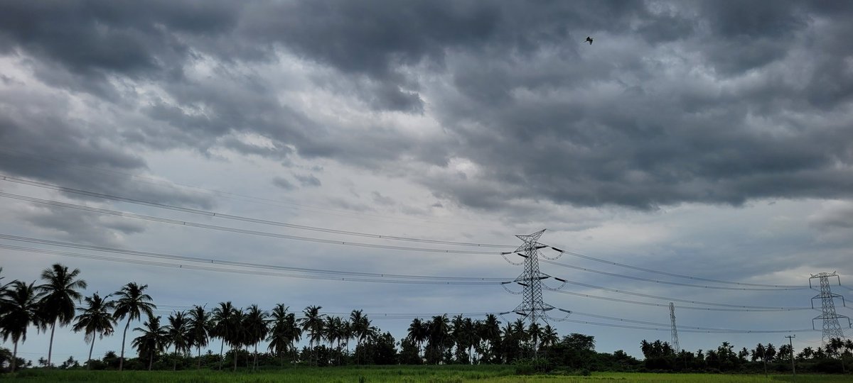 sudhar_dd7's tweet photo. World Photography Day! https://t.co/NyOXxG4j2Y