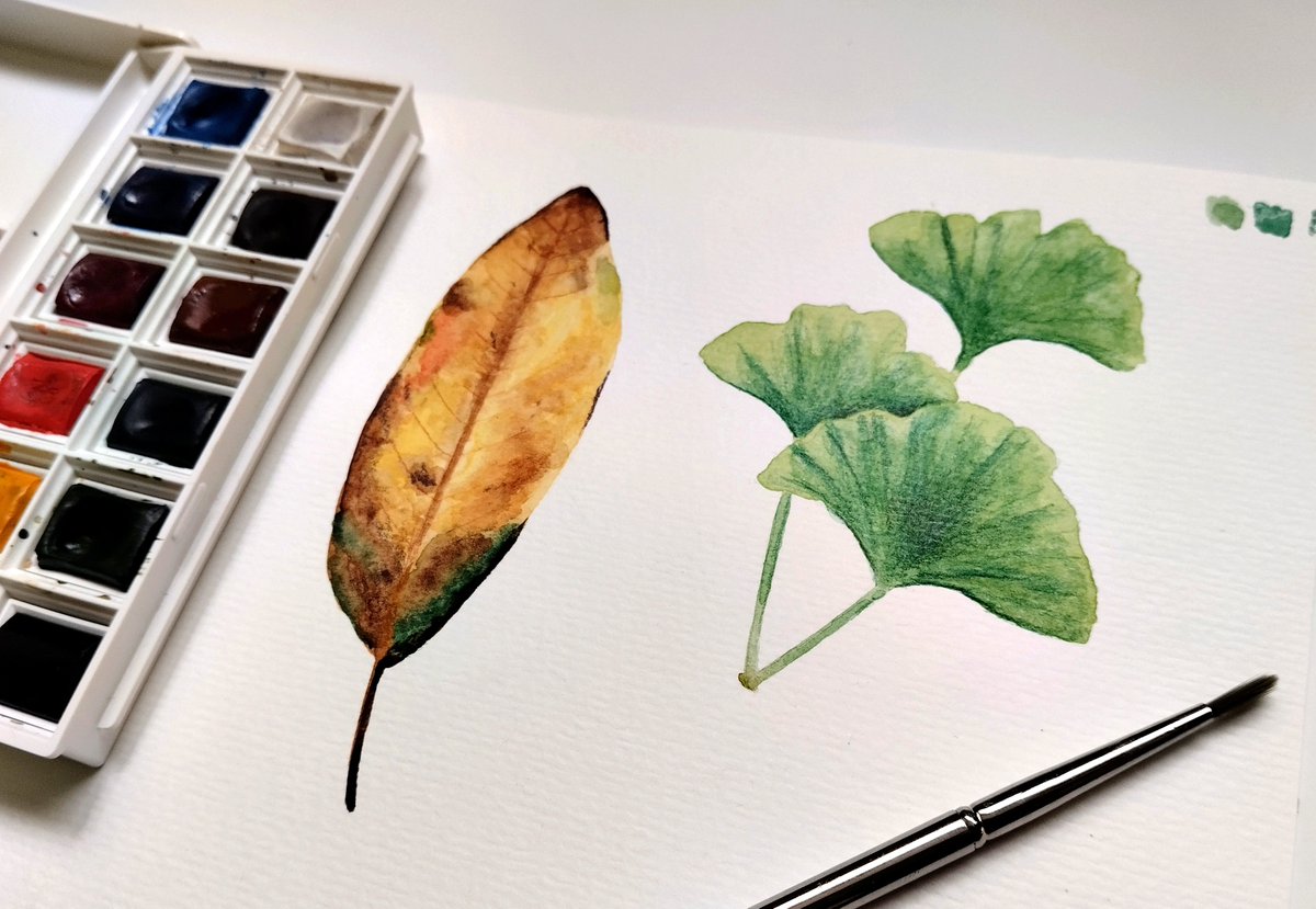 🖌️🎨 Práctica de acuarela.