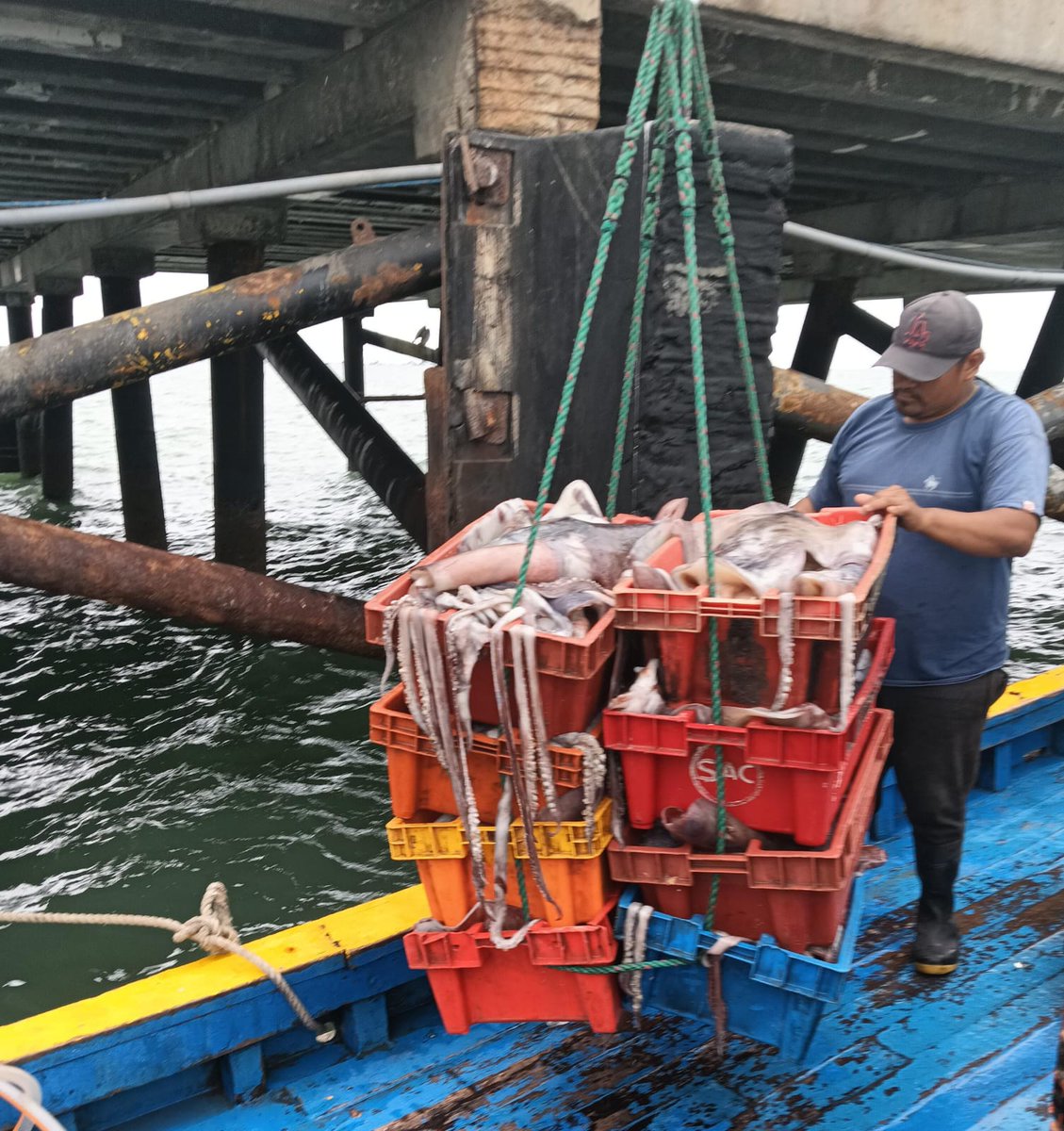 Autoridad Marítima Nacional - DICAPI (@mgp_dicapi) on Twitter photo La <a href="/naval_peru/">Marina de Guerra</a> , a través de la Capitanía de Puerto de Zorritos, intervino la embarcación pesquera “Los Hermanos” en la bahía denominada “Barrio 19”, decomisando un total de 7,280 kg de pota, recurso hidrobiológico que se encuentra en periodo de veda.
acortar.link/oDD3TA La <a href="/naval_peru/">Marina de Guerra</a> , a través de la Capitanía de Puerto de Zorritos, intervino la embarcación pesquera “Los Hermanos” en la bahía denominada “Barrio 19”, decomisando un total de 7,280 kg de pota, recurso hidrobiológico que se encuentra en periodo de veda.
acortar.link/oDD3TA