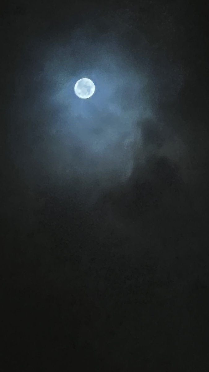 هي الحسن مجموعٌ، هي البدر كاملٌ.. 
#تصويري