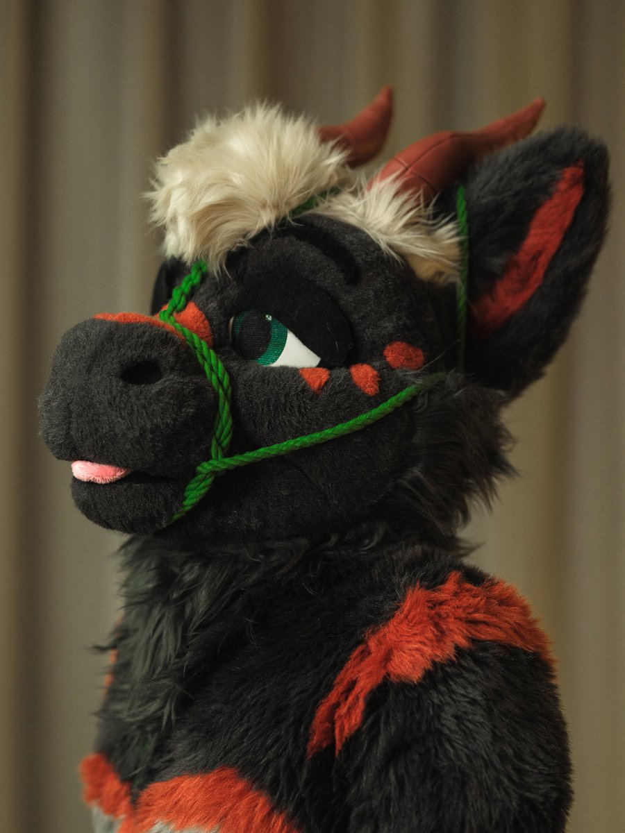shibarki's tweet image. 🐉 DRAGON DEEZ 🥜🔩🔩🌰🌰
#tiedUpTuesday #fursuitShibari

🐲: @vylederg 
🪢: @pupmaw