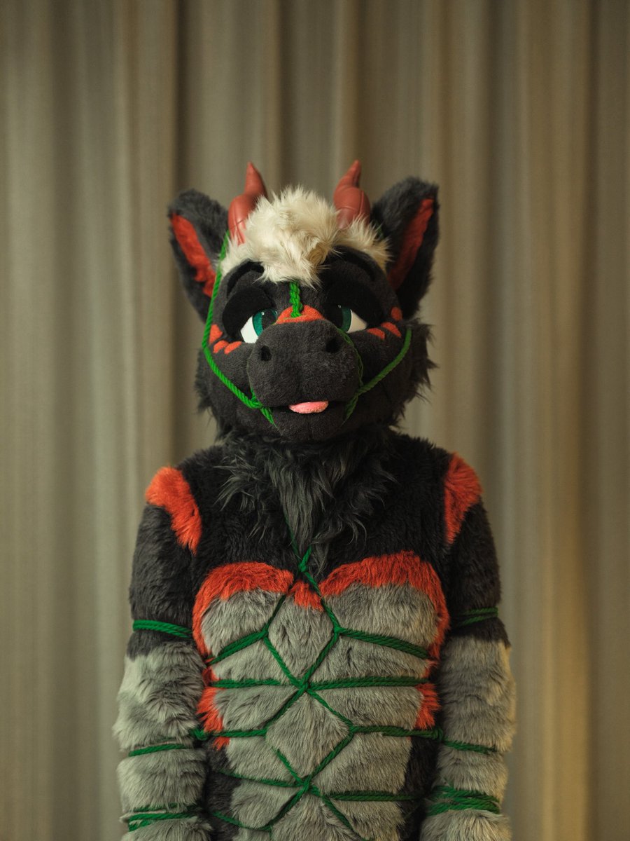 shibarki's tweet image. 🐉 DRAGON DEEZ 🥜🔩🔩🌰🌰
#tiedUpTuesday #fursuitShibari

🐲: @vylederg 
🪢: @pupmaw