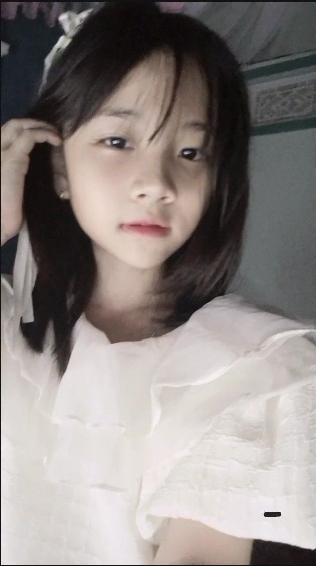 Khánh Linh tweet media
