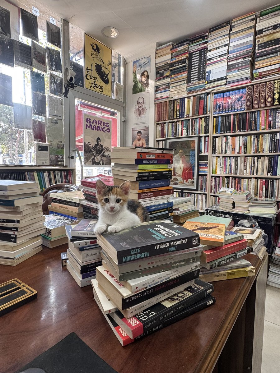 Bu şortiği kimse istemiyor sanırım. 
Yuva lazım şortiğe.