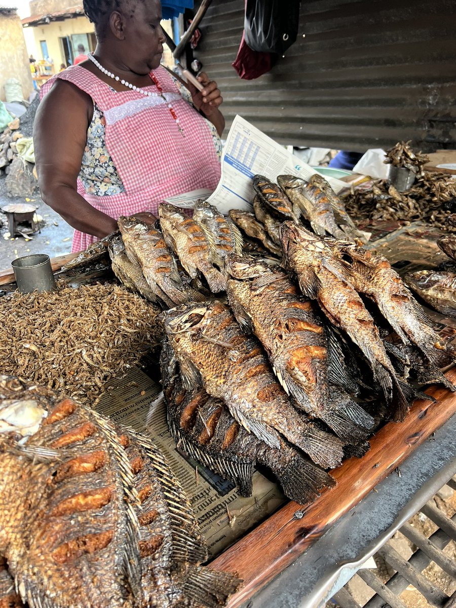 Lunch stop far eastern leg of #pftour25 Siaya, Kenya. 20 shillings/roasted ear $.15. Tilapia are 300 shillings/fish $2.32.