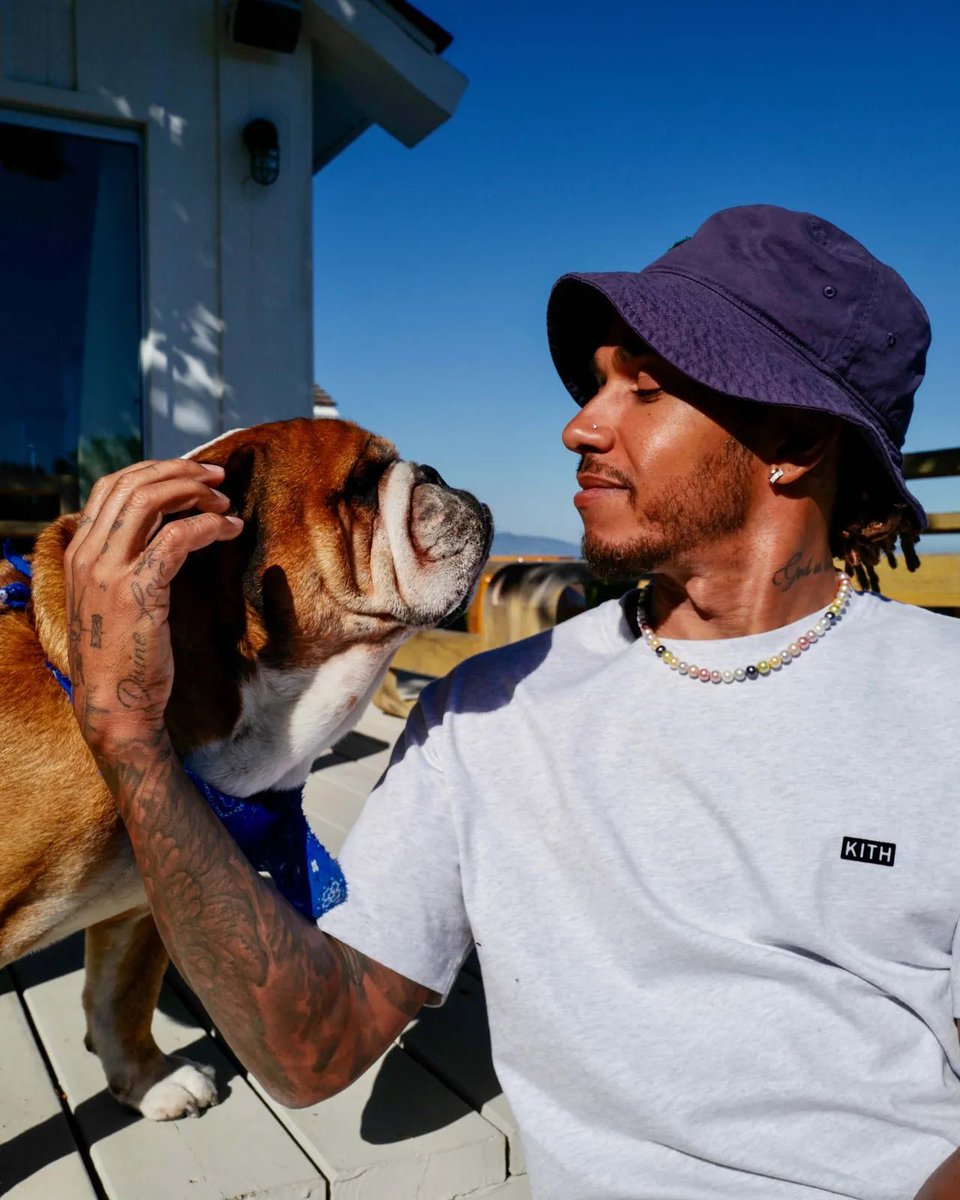 “He likes fancy, fancy sneakers”, “He picks up my Dior trainers and always takes them with him. He’s so bougie.” Roscoe’s even acquired some human-like traits—like sleeping on his back and only being able to go to the toilet on “good grass” and in utter privacy. 

I am