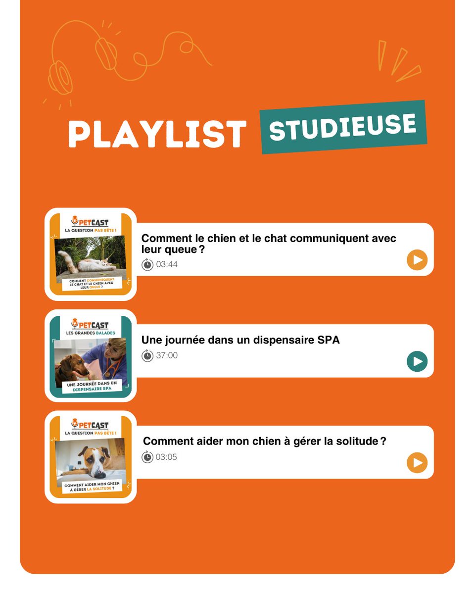 🎧 [Petcast] Tout au long de l’été, la SPA vous accompagne pendant vos vacances… et même à la reprise !

Que vous soyez chez vous, en balade, ou sur le retour des vacances, il y a toujours un épisode du Petcast pour vous accompagner ! Nous vous avons concocté deux playlists pour