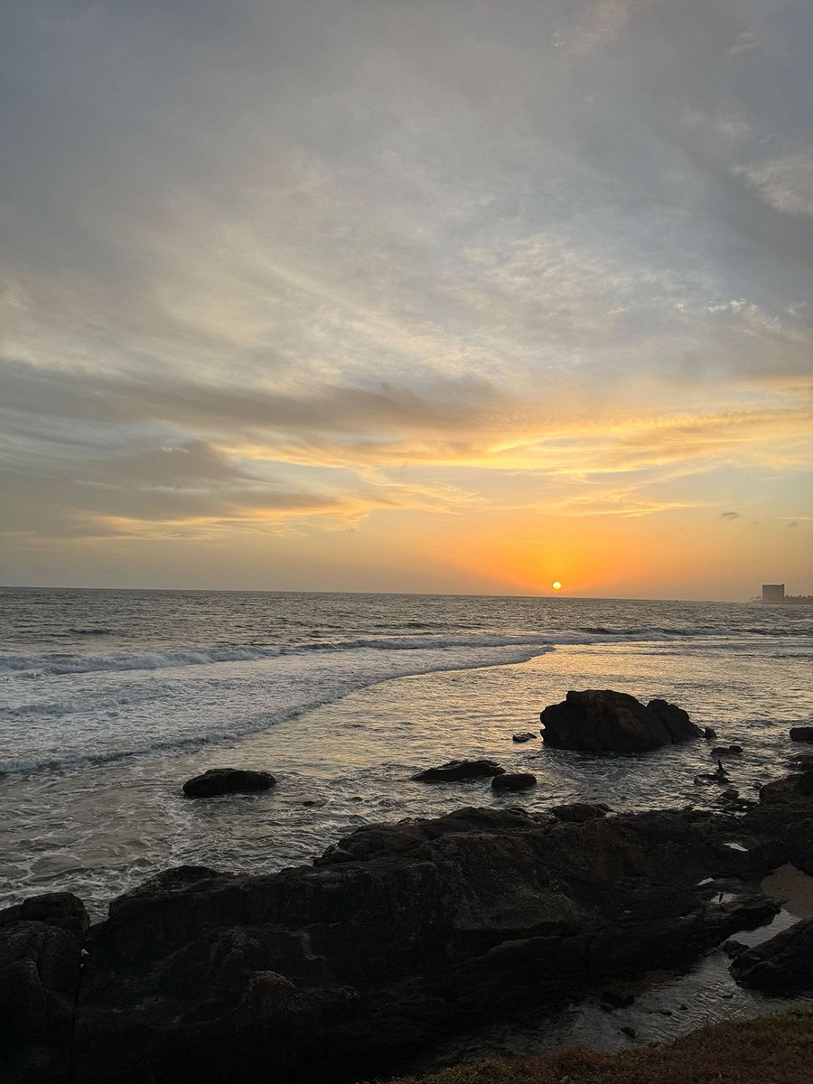 📸 Happy World Photography Day! Our team loves to get out in nature and take photos—here are just a few recent captures from the team’s adventures!

#WorldPhotographyDay #NaturePhotography
