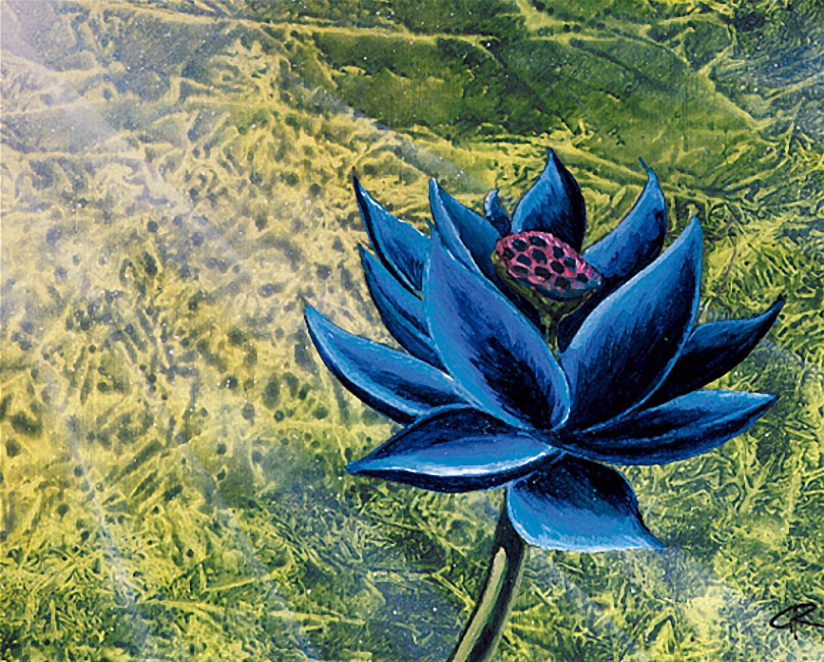 Entré con un black lotus a un museo y la curadora se puso a llorar y otros diez usuarios han indicado que les gusta tu post.