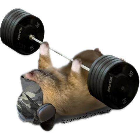 v83y_'s tweet photo. You have to make yourself from scratch 
You got it ✅ https://t.co/wxGj6z8GLs