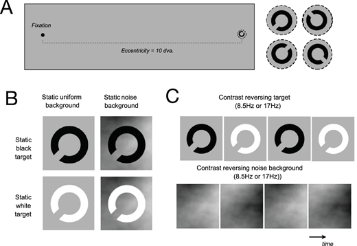 TVST Journal (@arvotvst) on Twitter photo Carlos Cassanello et al. <a href="/notts_psych/">School of Psychology, University of Nottingham</a> share their findings regarding The Effect of Contrast Reversal on Peripheral Visual Acuity, tvst.arvojournals.org/article.aspx?a…. Carlos Cassanello et al. <a href="/notts_psych/">School of Psychology, University of Nottingham</a> share their findings regarding The Effect of Contrast Reversal on Peripheral Visual Acuity, tvst.arvojournals.org/article.aspx?a….