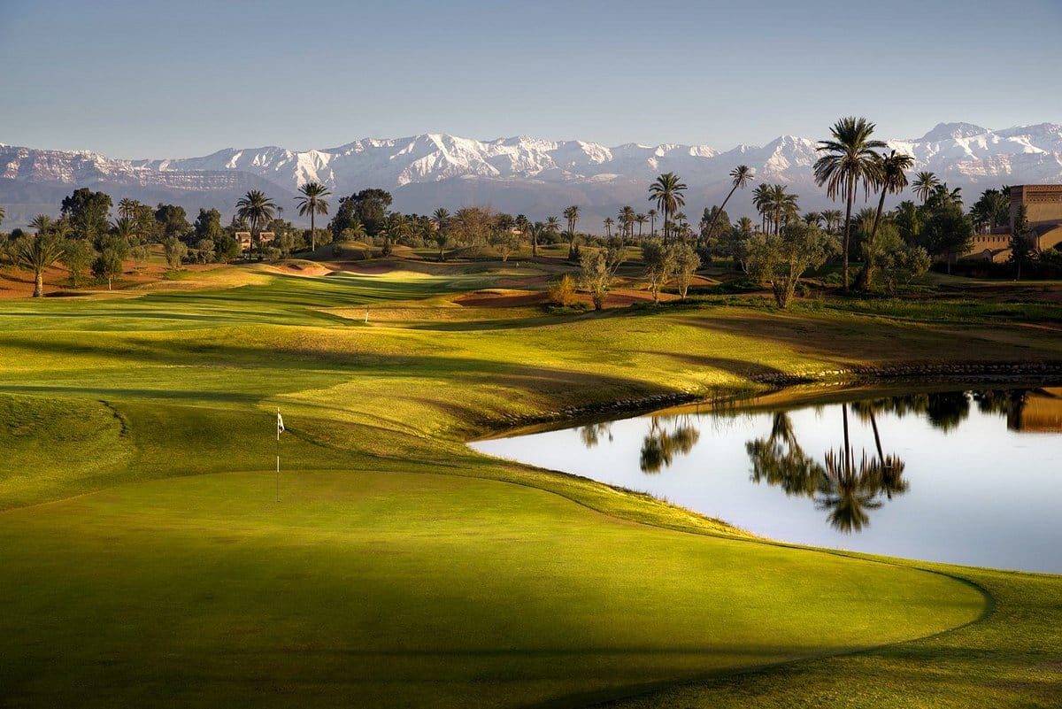 A Golfing Experience (@agolfingexp) on Twitter photo Golf holidays in Morocco⛳️
#morocco #agadir #marrakech #rabat #casablanca #Essaouira #Saïdia #golftravel #golfholidays
See link for all our destinations in Morocco⬇️
agolfingexperience.co.uk/our-destinatio…
Reservations admin@agoflingexperience.com
Travel Well ! Play Well ! Golf holidays in Morocco⛳️
#morocco #agadir #marrakech #rabat #casablanca #Essaouira #Saïdia #golftravel #golfholidays
See link for all our destinations in Morocco⬇️
agolfingexperience.co.uk/our-destinatio…
Reservations admin@agoflingexperience.com
Travel Well ! Play Well !