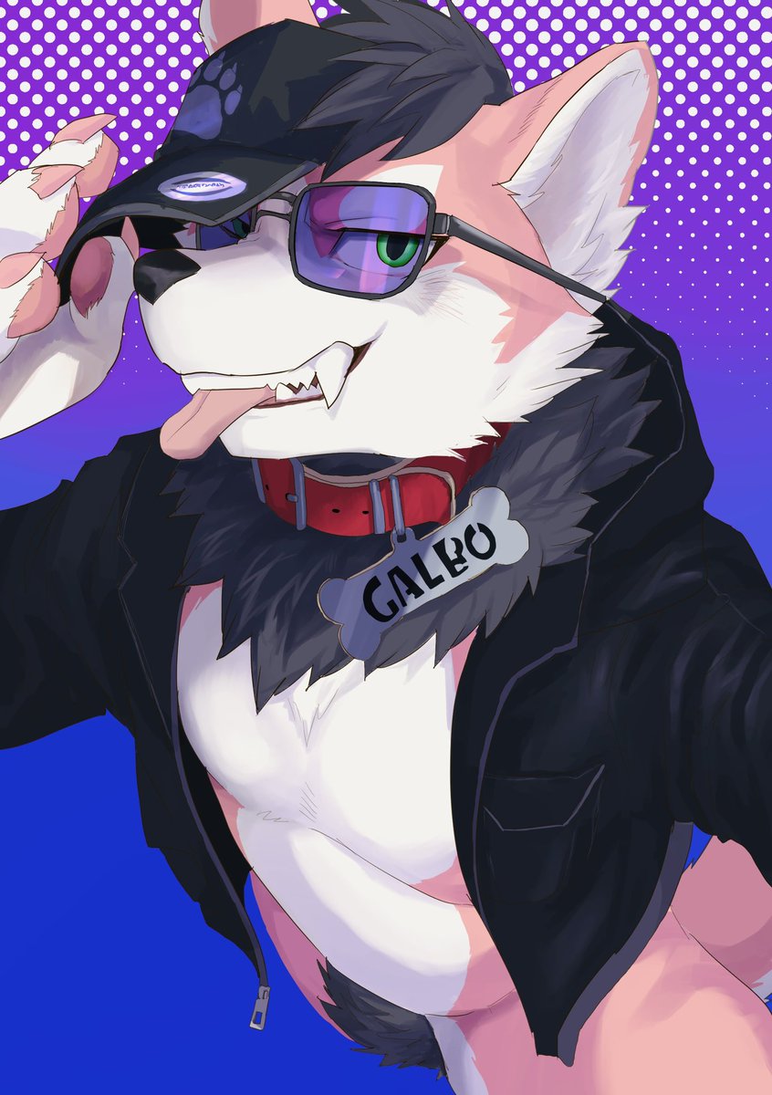 犬縞 (@inusimahiro11) on Twitter photo Galboてゃん Galboてゃん