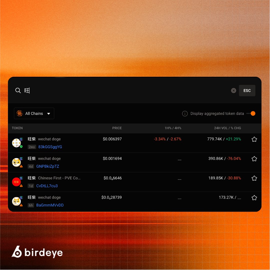 Birdeye Search V2 が中国語、日本語、韓国語の非ラテン文字検索をサポートしている様子
