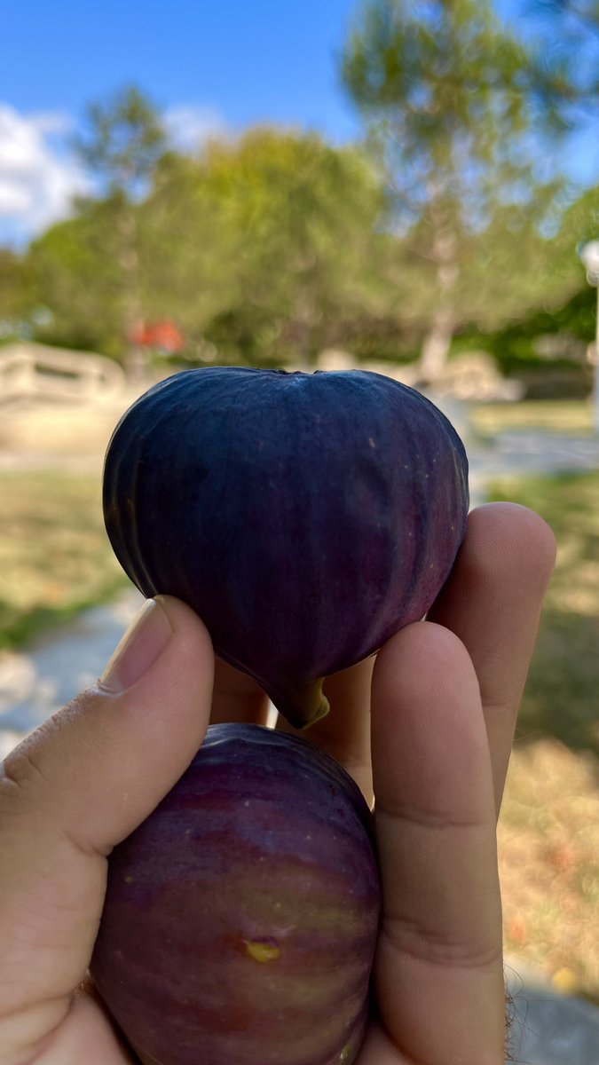 Yılın en güzel zamanları..