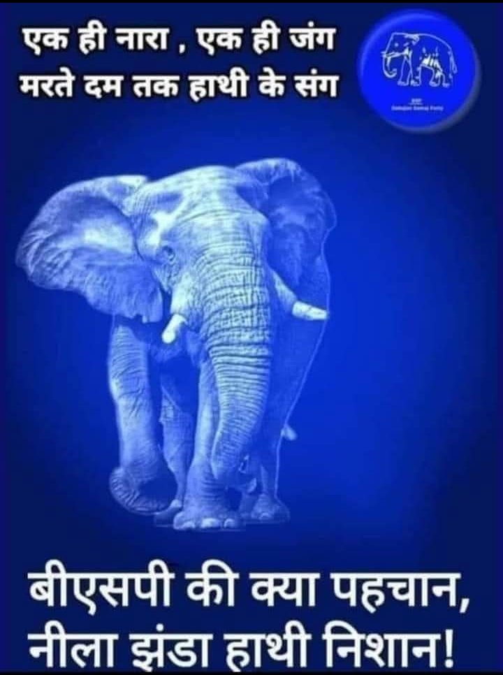 हमारे बुजुर्गों ने सब देखा है
इसलिए बहन जी आज भी उनकी उम्मीद है 
बसपा महापुरुषों के खून पसीने से बनाई हुई पार्टी है 
🐘🐘जय भीम जय बसपा 🐘🐘