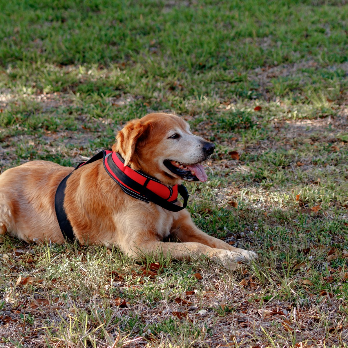 If you or someone you know has experienced fair housing issues, contact PSLS at 855-347-7757 to speak with a member of our staff and apply for our services. #PSLS #PursuingJustice #RestoringHope