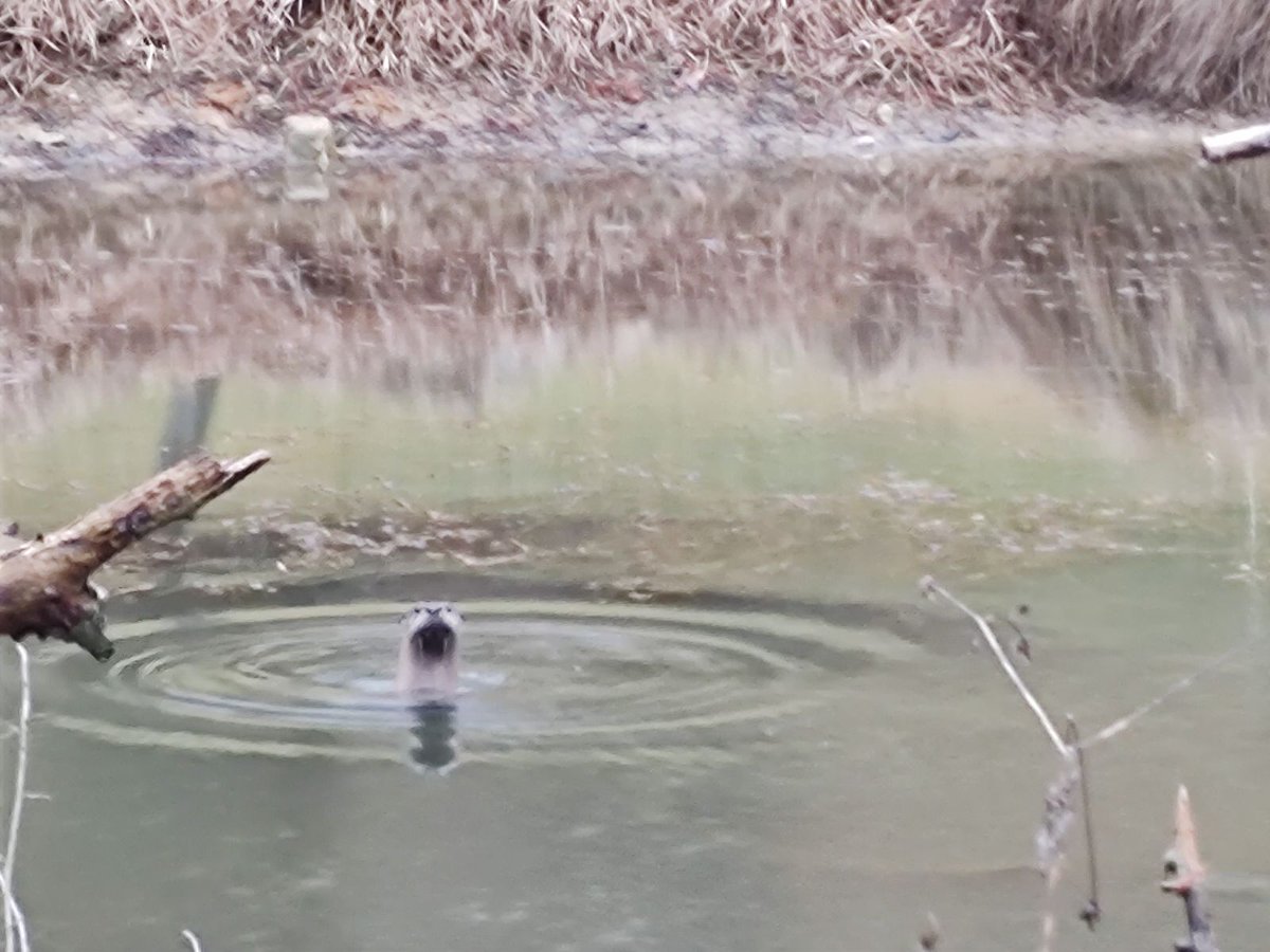 RoadTrip tweet media