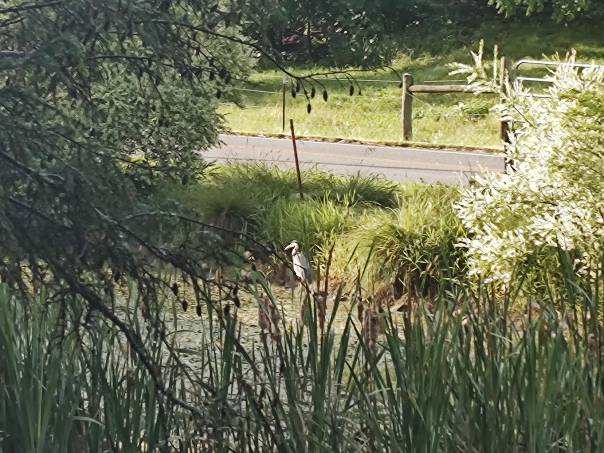 RoadTrip tweet media