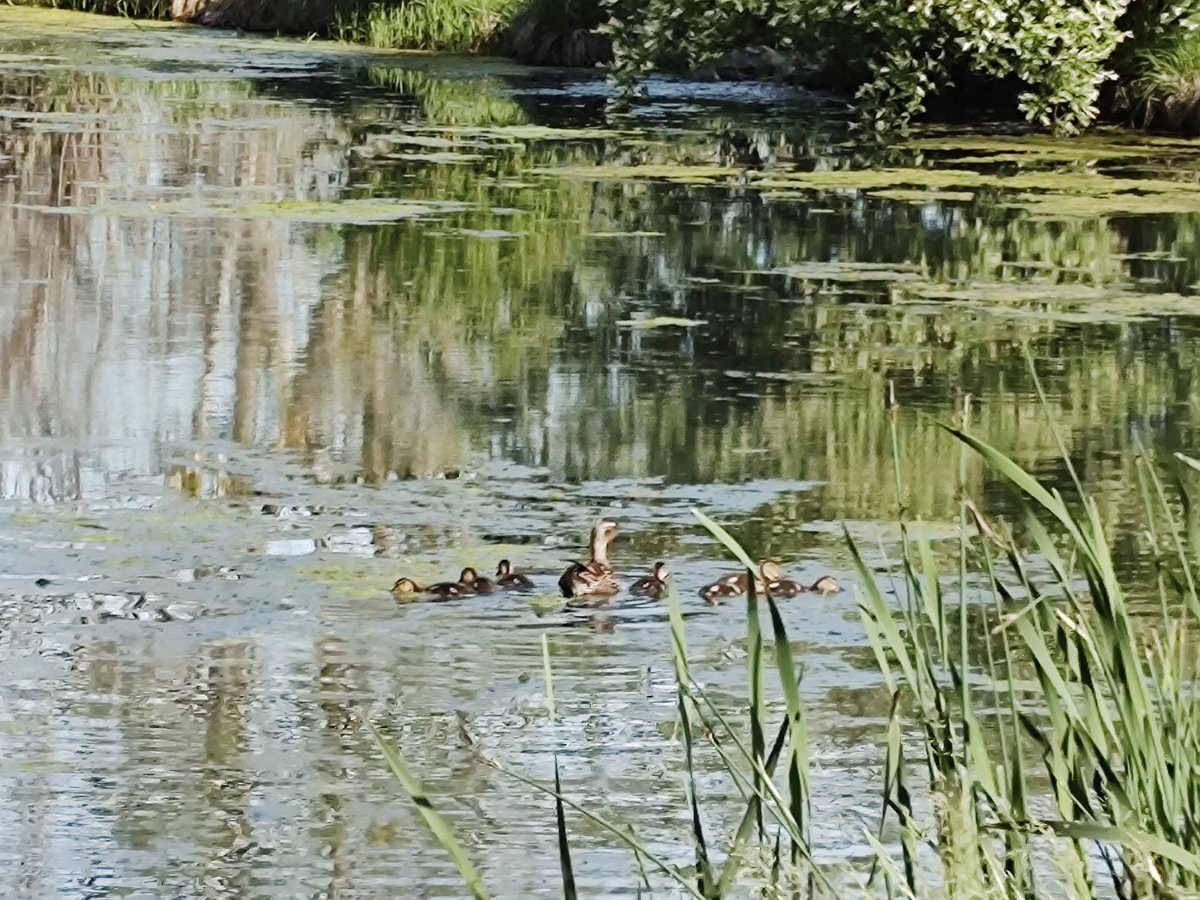 RoadTrip tweet media