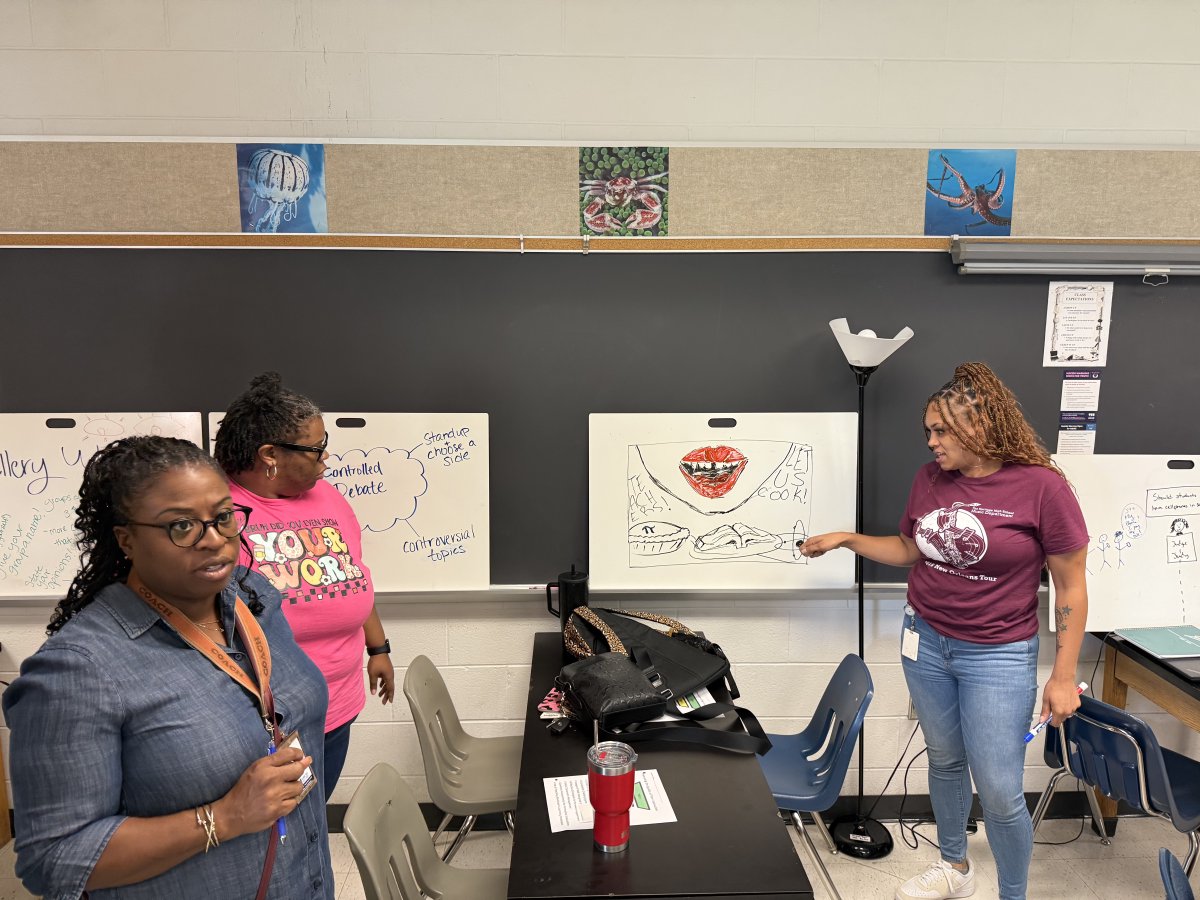 A high-impact day of professional learning was held on yesterday by our teacher leaders on:
✅ Tier 1 Instruction
✅ Supporting English Language Learners 🌍
✅ Supporting Students With Disabilities 💪
✅ Instructional Best Practices 📚

#ProfessionalLearning