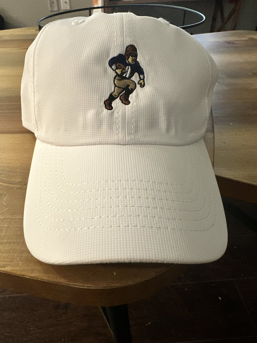 With all that being said, I am proposing secondary logos that can be utilized both by athletics and fans alike to honor the greats of <a href="/IlliniFootball/">Illinois Football</a>. Would you buy this merch?