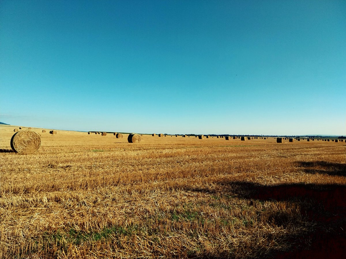 Borci už to mají u nás za sebou....👌☀️☀️☀️☀️