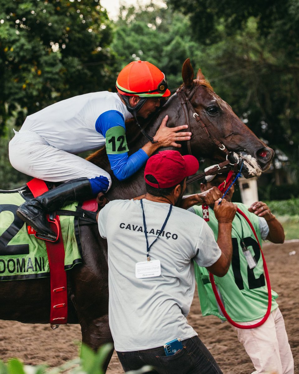 JockeyClubBR's tweet photo. Graças ao olhar sensível dos fotógrafos, a emoção das corridas de cavalo se transforma em lembrança eterna. Feliz Dia Mundial da Fotografia!
📸 cotta.sports, sylviorondinelli, karolloureiro e muuvies
#DiaMundialDaFotografia #Fotografia #CorridaDeCavalos #Cavalos https://t.co/33feraEnkB
