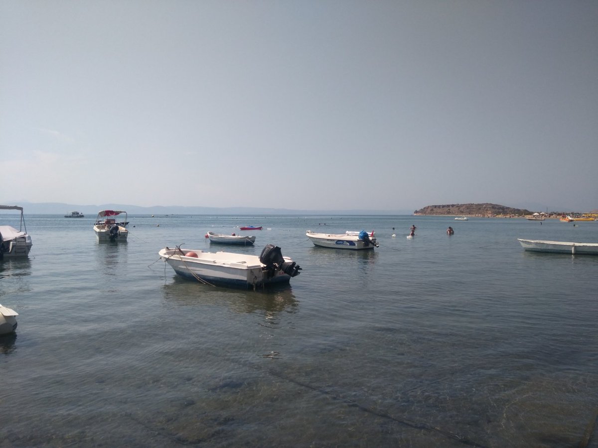 guvenc_deviren's tweet photo. Badavut Ayvalık https://t.co/YDAGyaoaod