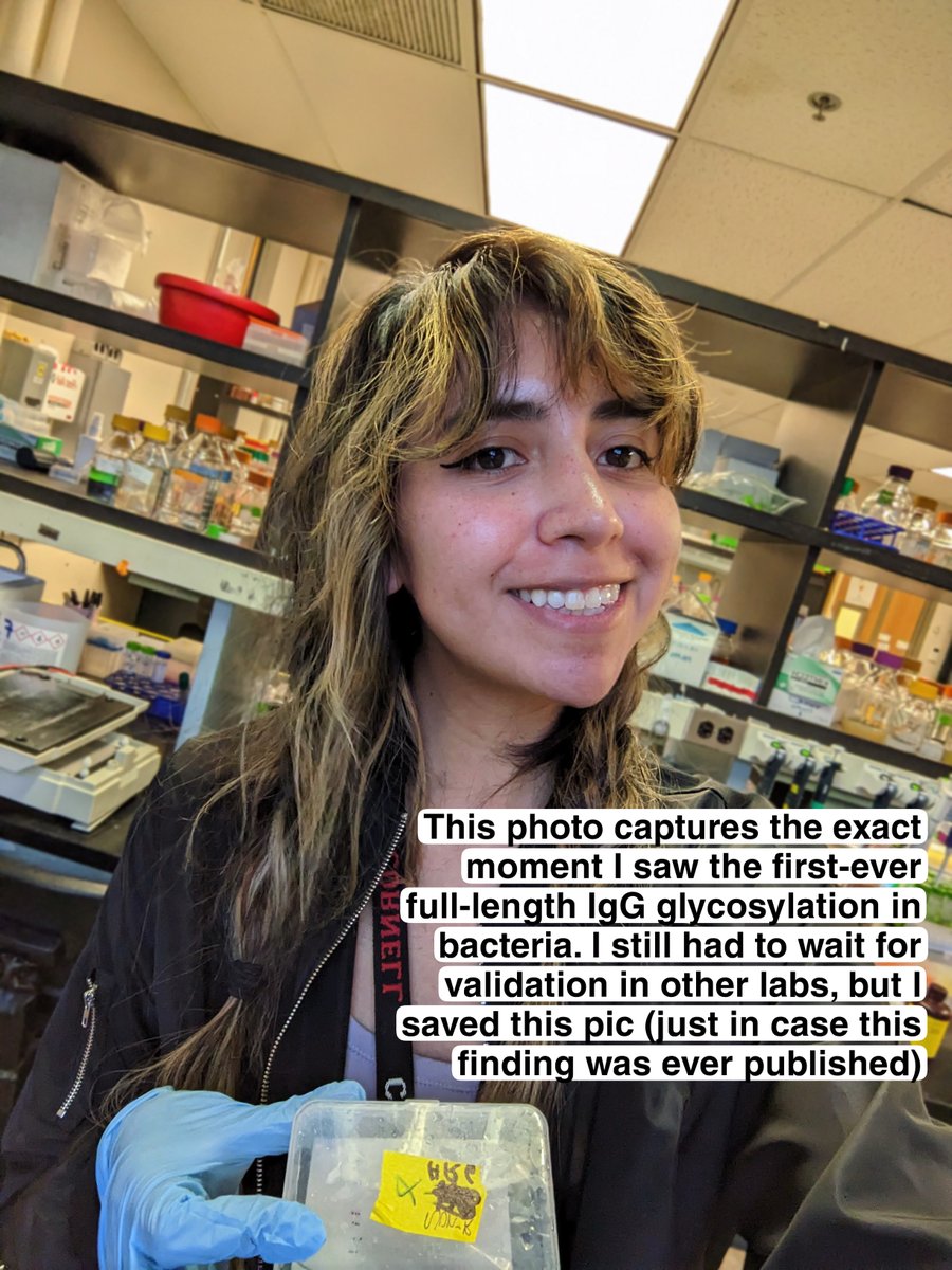 Belen Sotomayor (@belensotomayor5) on Twitter photo My PhD work is out in <a href="/NatureComms/">Nature Communications</a> !✨For the first time, we show that bacteria can glycosylate full-length monoclonal antibodies. A proof of concept and a key step toward making antibody therapies accessible to all.. nature.com/articles/s4146… #biotech #glycotime #SyntheticBiology My PhD work is out in <a href="/NatureComms/">Nature Communications</a> !✨For the first time, we show that bacteria can glycosylate full-length monoclonal antibodies. A proof of concept and a key step toward making antibody therapies accessible to all.. nature.com/articles/s4146… #biotech #glycotime #SyntheticBiology