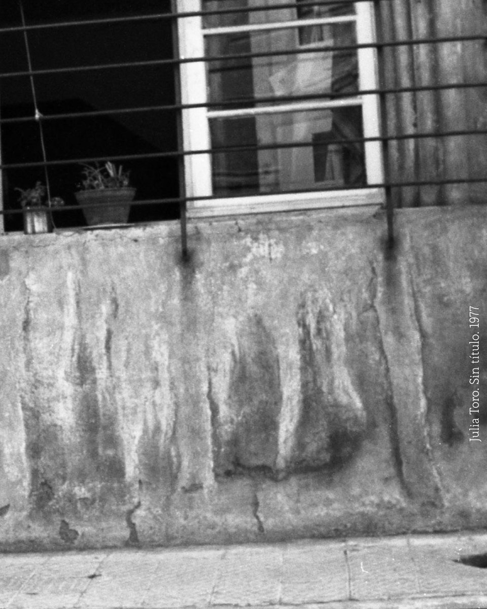 📸 En el Día Mundial de la Fotografía, con esta imagen de la fotógrafa y artista visual talquina, Julia Toro, queremos saludar a quienes dedican su vida al arte de componer imágenes para contar historias, para narrar la realidad gigantesca a través de un pequeño visor.