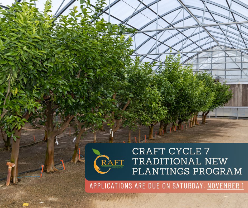 🌳 Our Division is proud to support for Cycle 7 of the Citrus Research and Field Trial (CRAFT) by providing true-to-type citrus 🌱 nursery stock!

🗓️ Interested #FLCitrus commercial growers have until Nov. 1, 2025 to apply online! Learn more: craftfdn.org